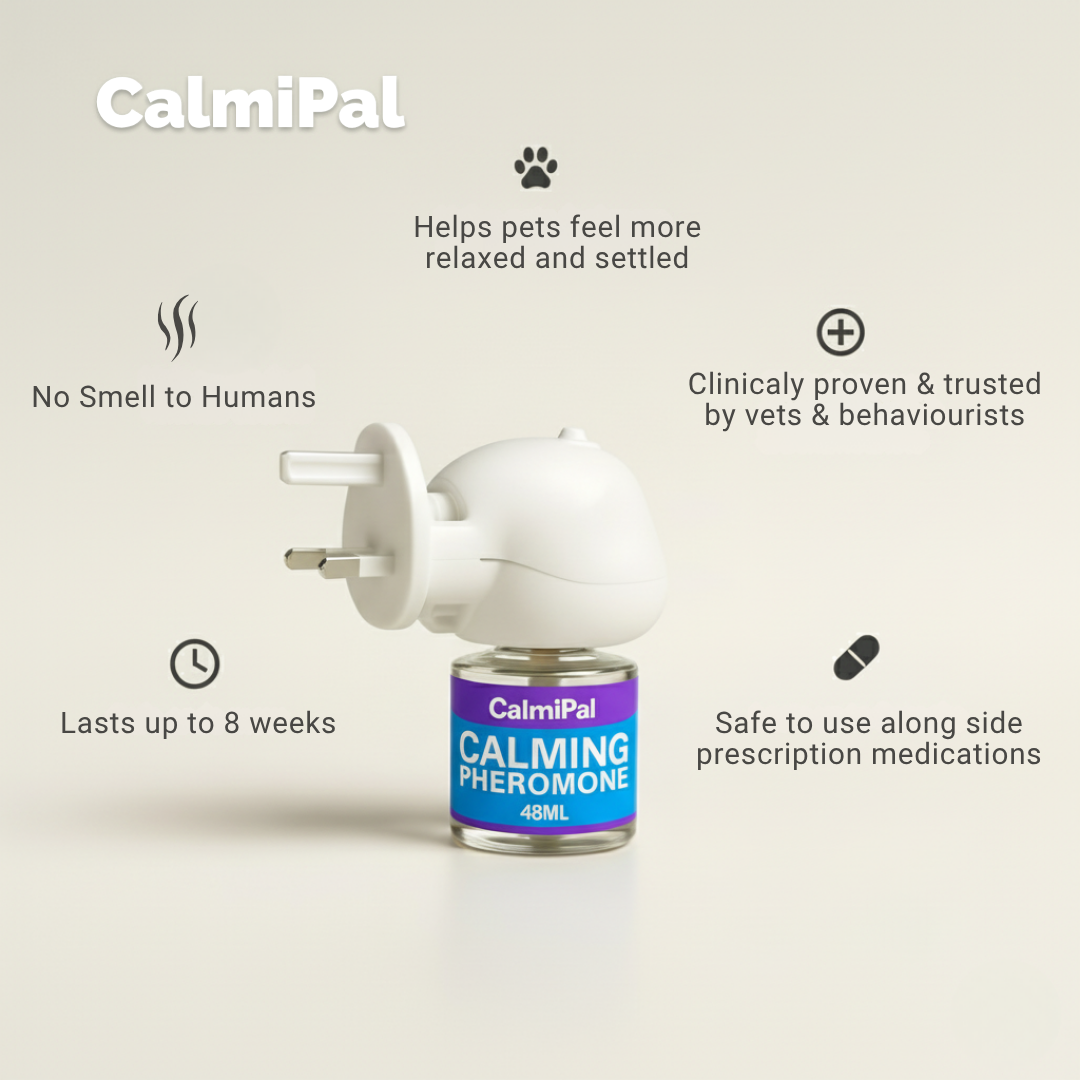 CalmiPal Diffuser