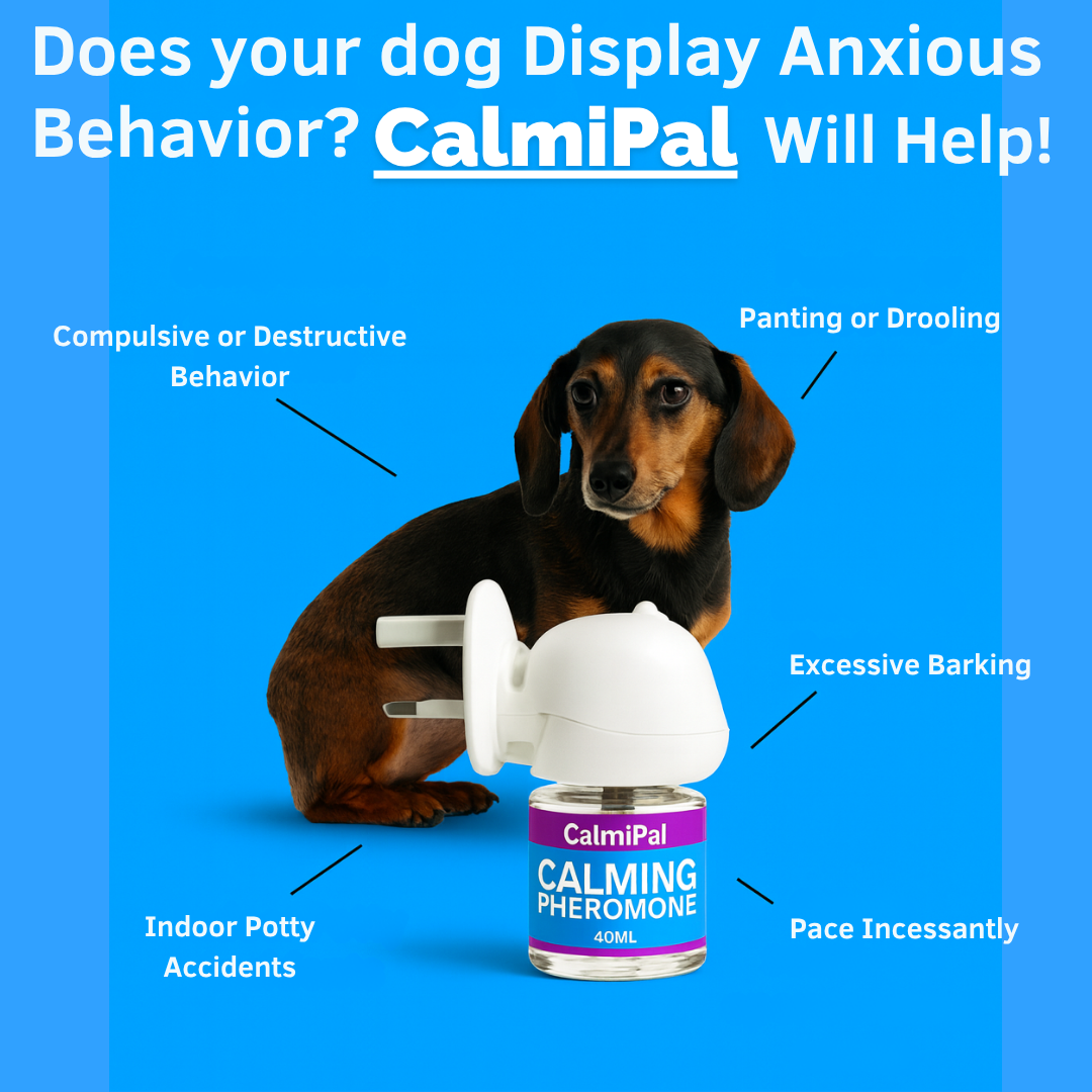 CalmiPal Diffuser
