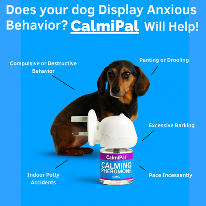 CalmiPal Diffuser
